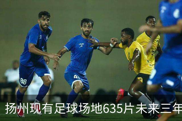 扬州现有足球场地635片未来三年足球人口达30万人