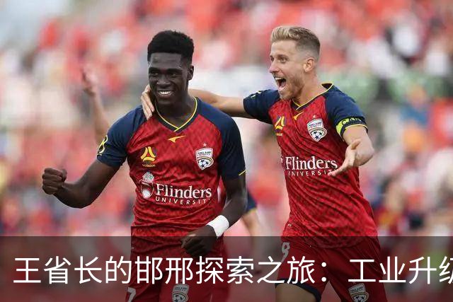 王省长的邯邢探索之旅：工业升级的冒险故事